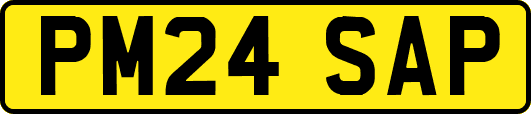 PM24SAP