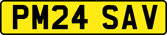 PM24SAV