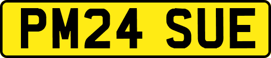 PM24SUE