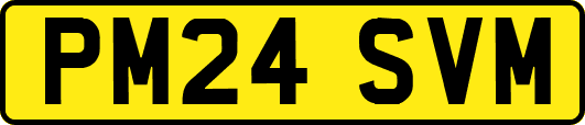PM24SVM