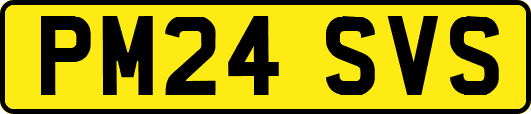 PM24SVS