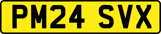 PM24SVX