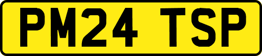PM24TSP
