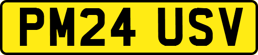 PM24USV