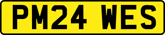 PM24WES