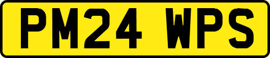 PM24WPS