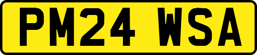 PM24WSA