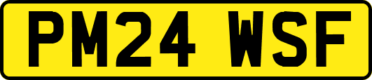 PM24WSF