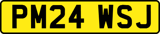 PM24WSJ
