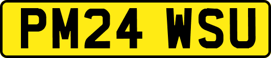 PM24WSU