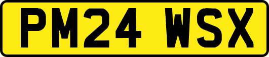PM24WSX
