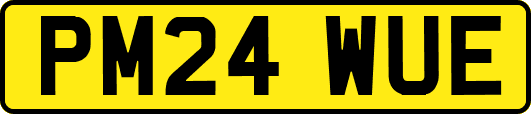 PM24WUE
