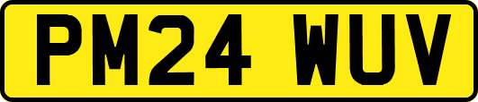 PM24WUV