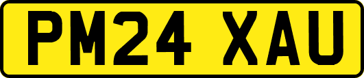 PM24XAU