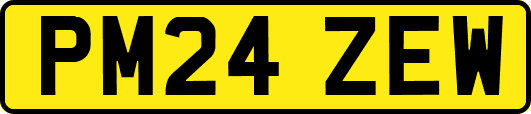 PM24ZEW