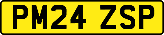 PM24ZSP