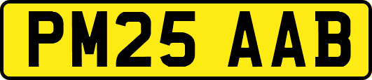 PM25AAB