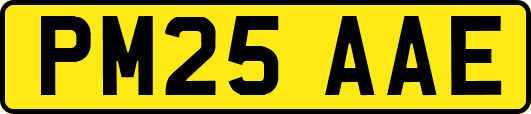 PM25AAE