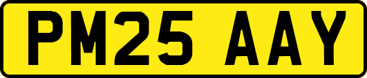 PM25AAY