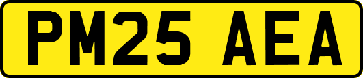PM25AEA