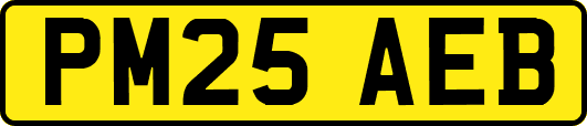 PM25AEB