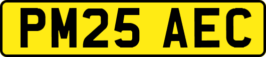 PM25AEC