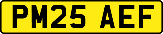 PM25AEF