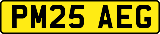 PM25AEG