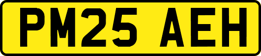 PM25AEH