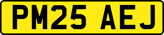 PM25AEJ