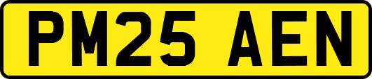 PM25AEN