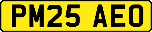 PM25AEO