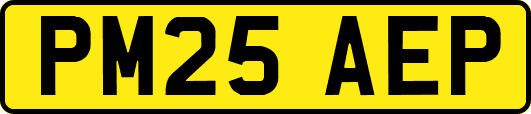 PM25AEP