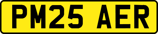 PM25AER