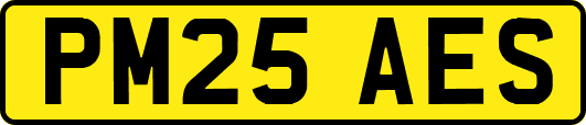 PM25AES