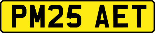 PM25AET