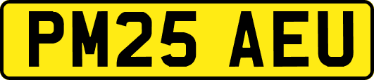 PM25AEU