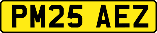 PM25AEZ
