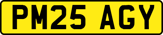 PM25AGY
