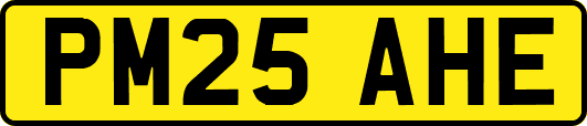 PM25AHE
