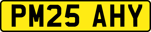 PM25AHY