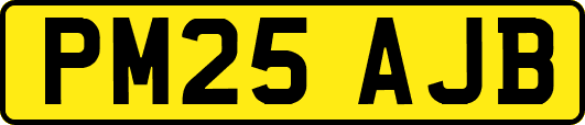 PM25AJB
