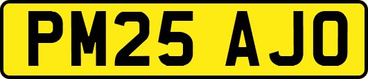 PM25AJO