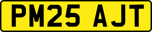 PM25AJT