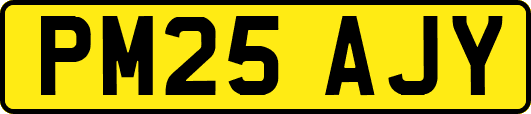 PM25AJY