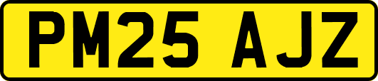 PM25AJZ