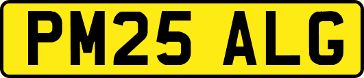 PM25ALG