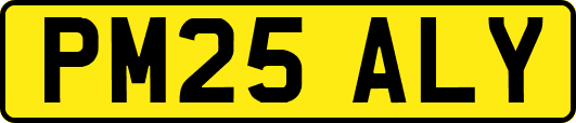 PM25ALY