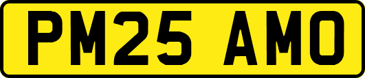 PM25AMO