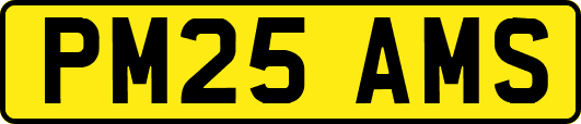 PM25AMS
